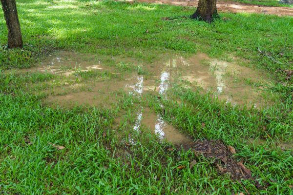 Cost of Storm Water Drainage Service in Snohomish