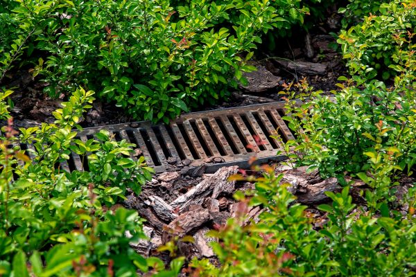 Underground Drainage Service in Snohomish