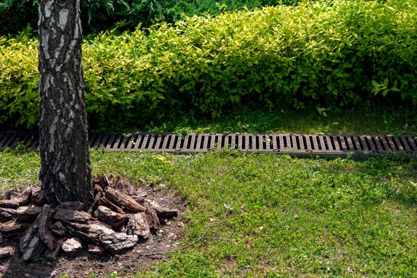Cost of Wet Yard Drainage in Snohomish