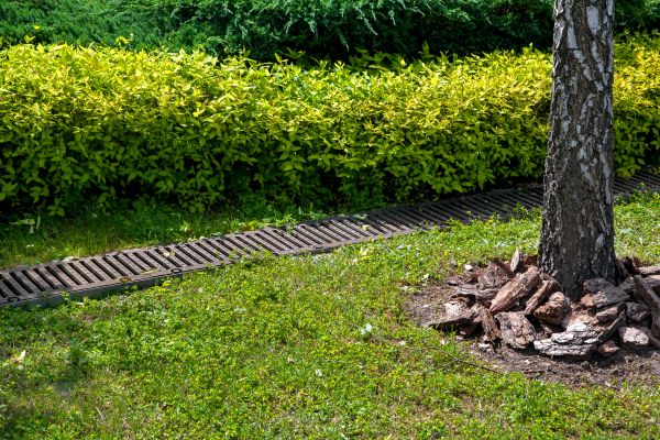 Cost of Residential Landscape Drainage in Snohomish