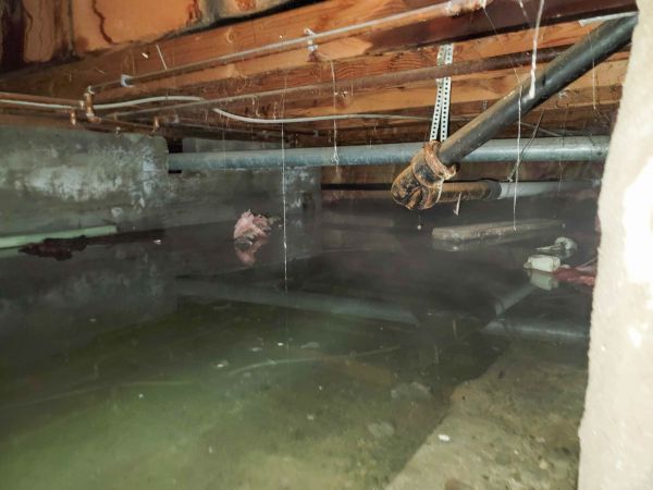 Cost of Crawlspace Drainage in Snohomish